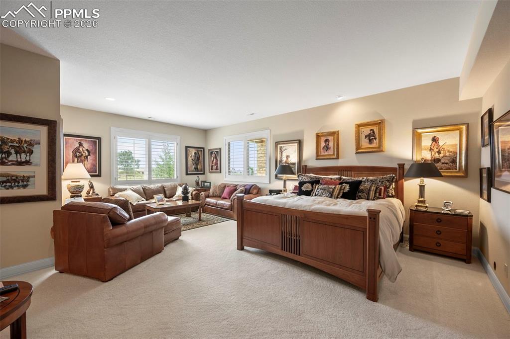 4025 Reserve Point Colorado Springs, CO 80904 - Photo 36 of 50 a living room with furniture and a large window