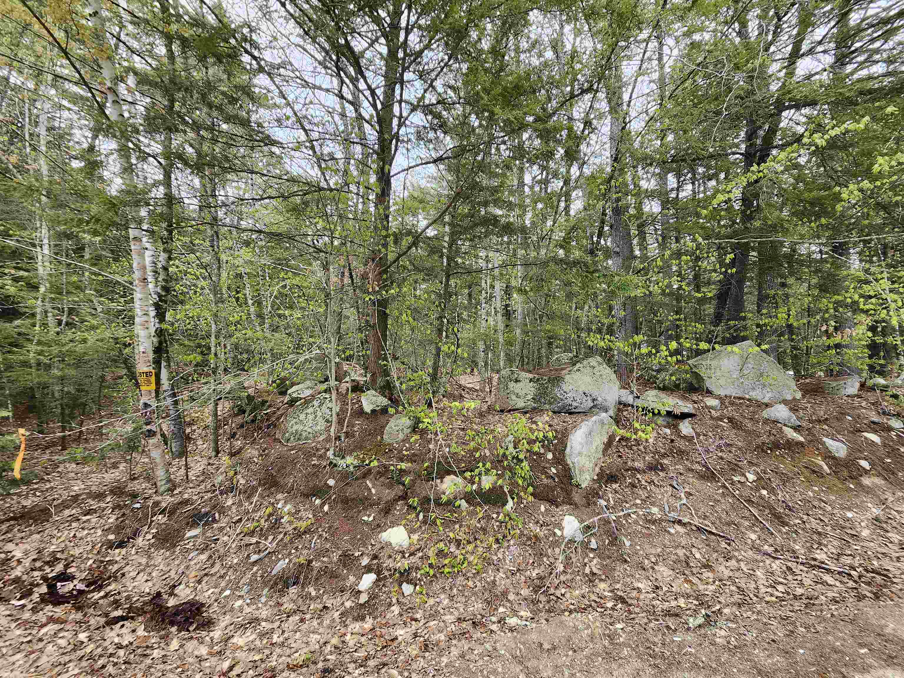 101-15 North Shore Road New Durham, NH 03855 - Photo 9 of 14