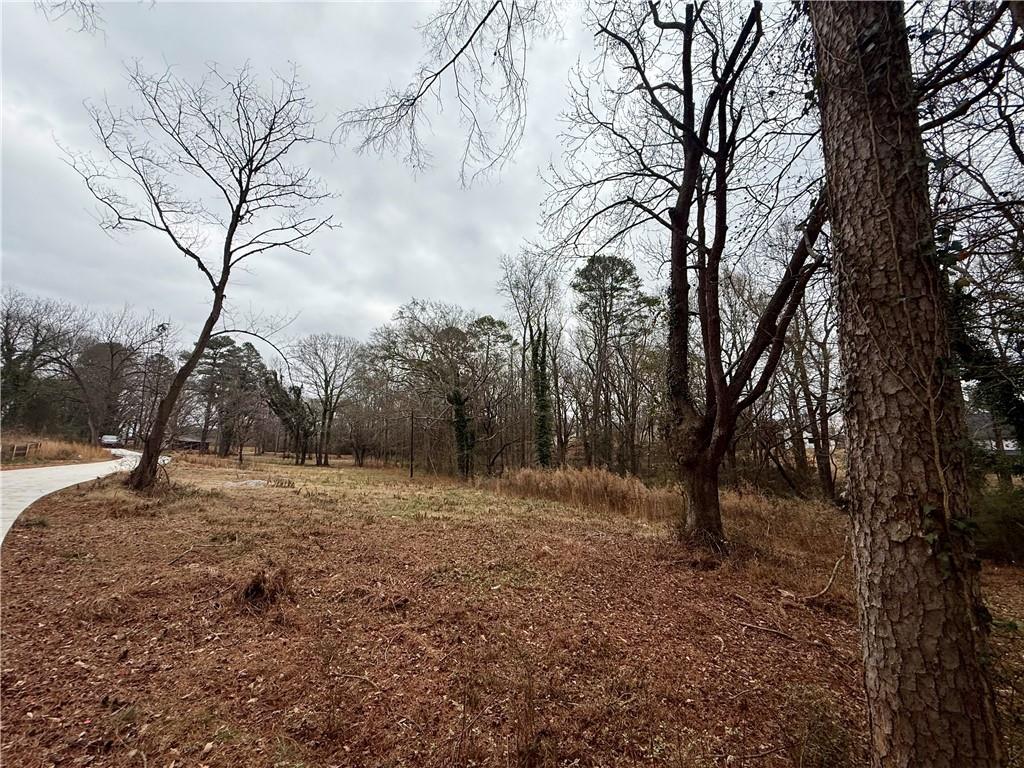 0 Pine Street Pendergrass, GA 30567 - Photo 5 of 9 a view of dirt yard with a tree