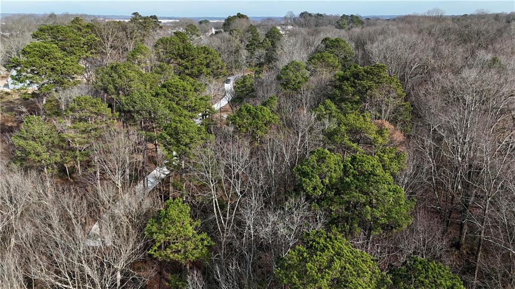 0 Pine Street Pendergrass, GA 30567 - Photo 7 of 9 a view of a forest with an trees
