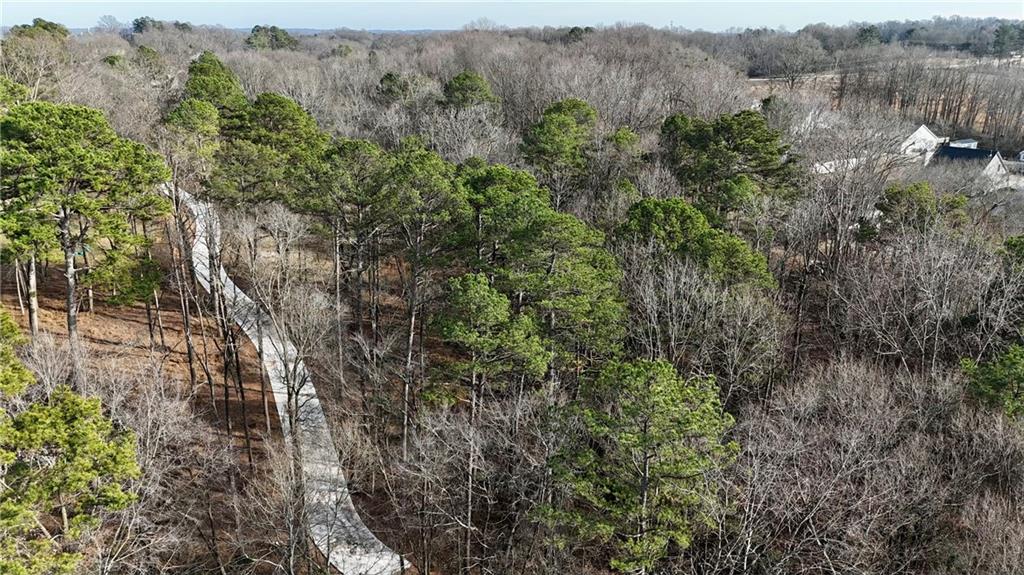 0 Pine Street Pendergrass, GA 30567 - Photo 9 of 9 a view of a trees in a field