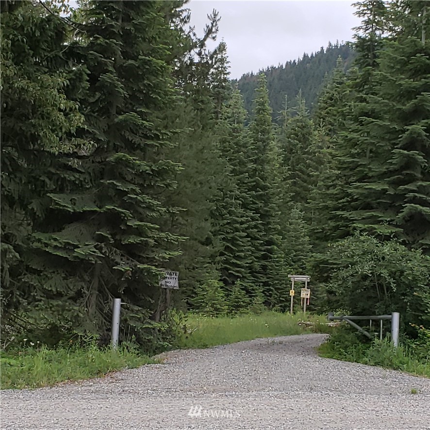 2156 Forest Service Road Easton, WA 98925 - Photo 23 of 24 Gallery Image 23