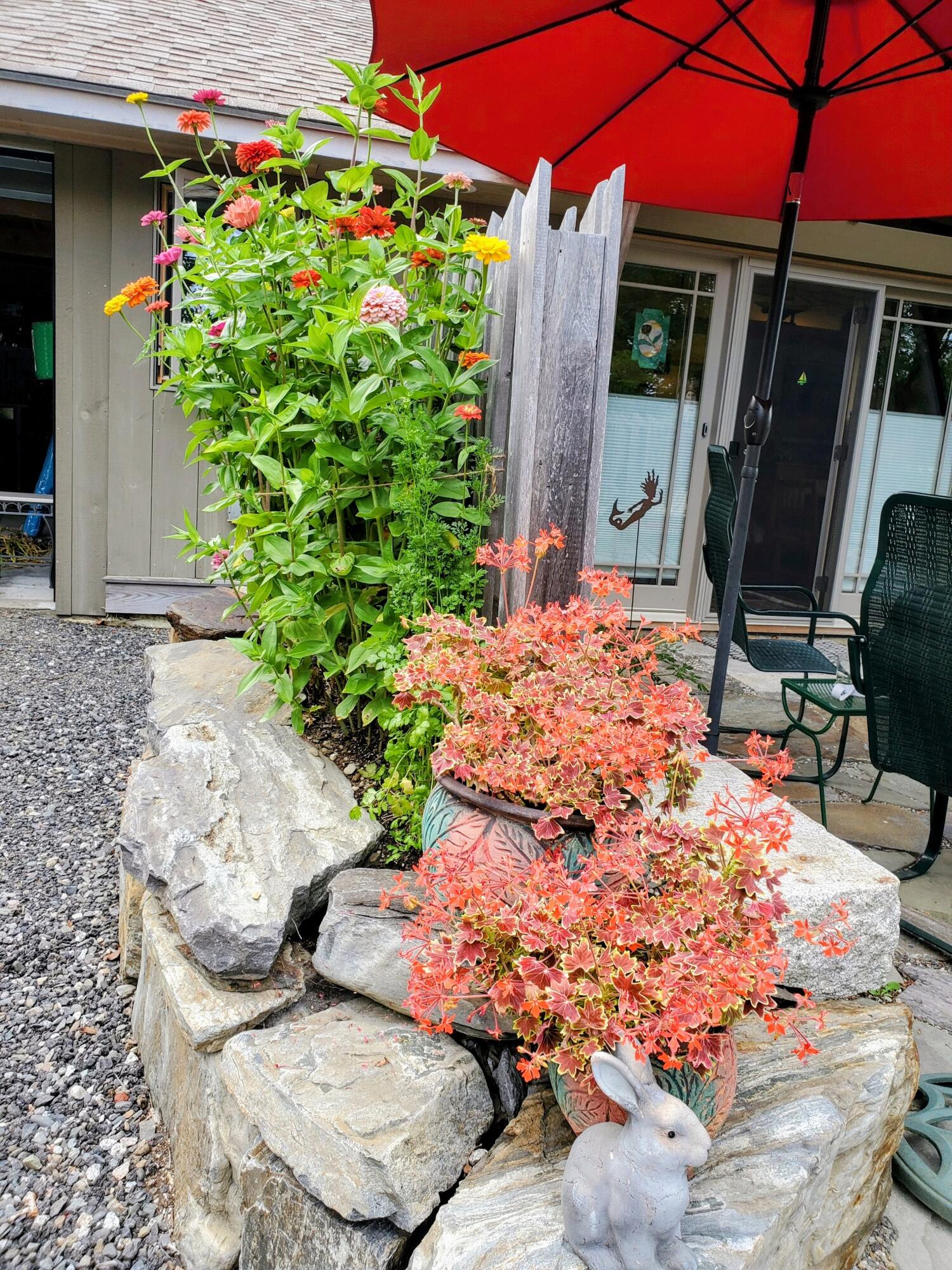 9 James Street Belfast, ME 04915 - Photo 51 of 59 98f251a2-86a4-47a1-bc1f-63594ab36da2~1