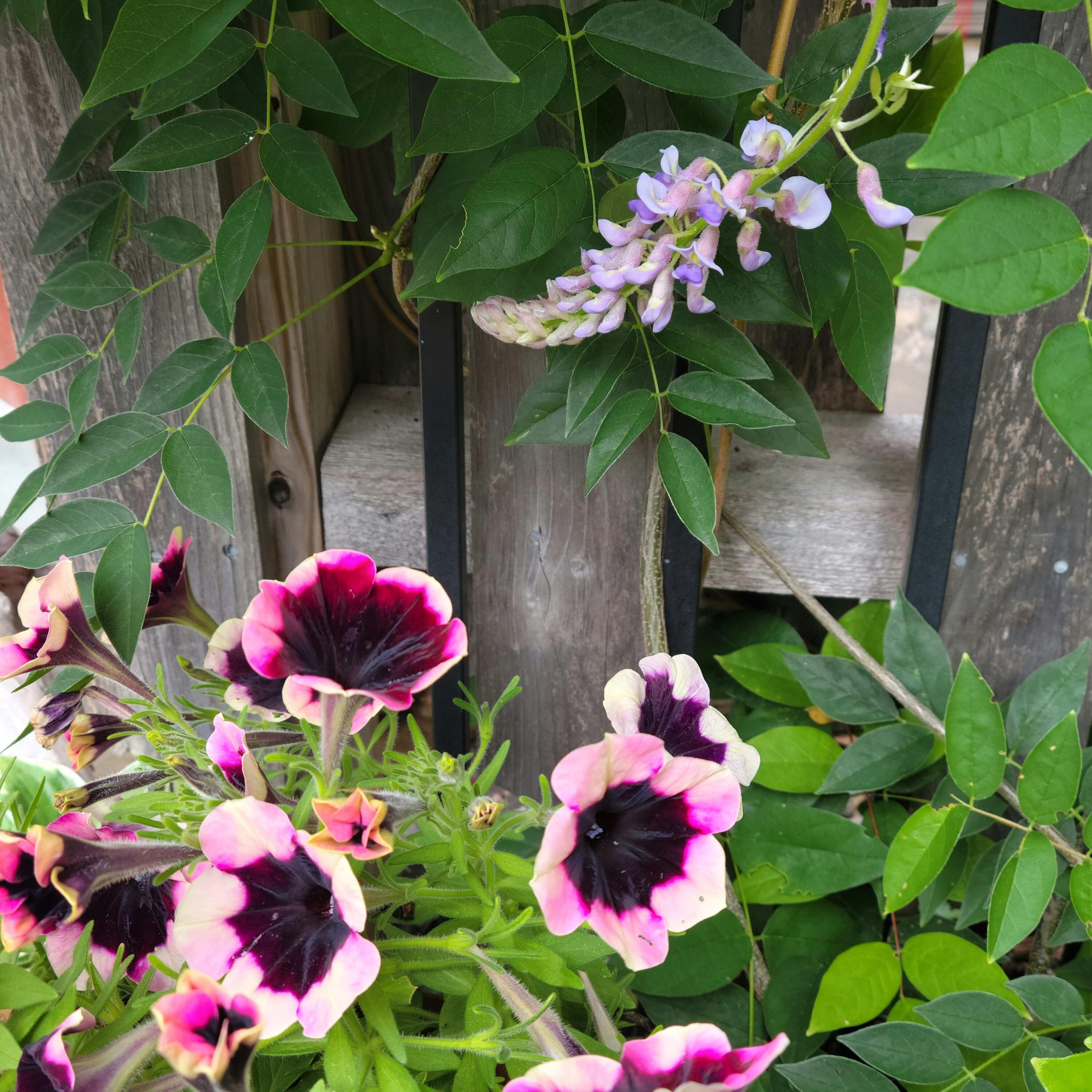 9 James Street Belfast, ME 04915 - Photo 53 of 59 IMG_20220810_174805_271