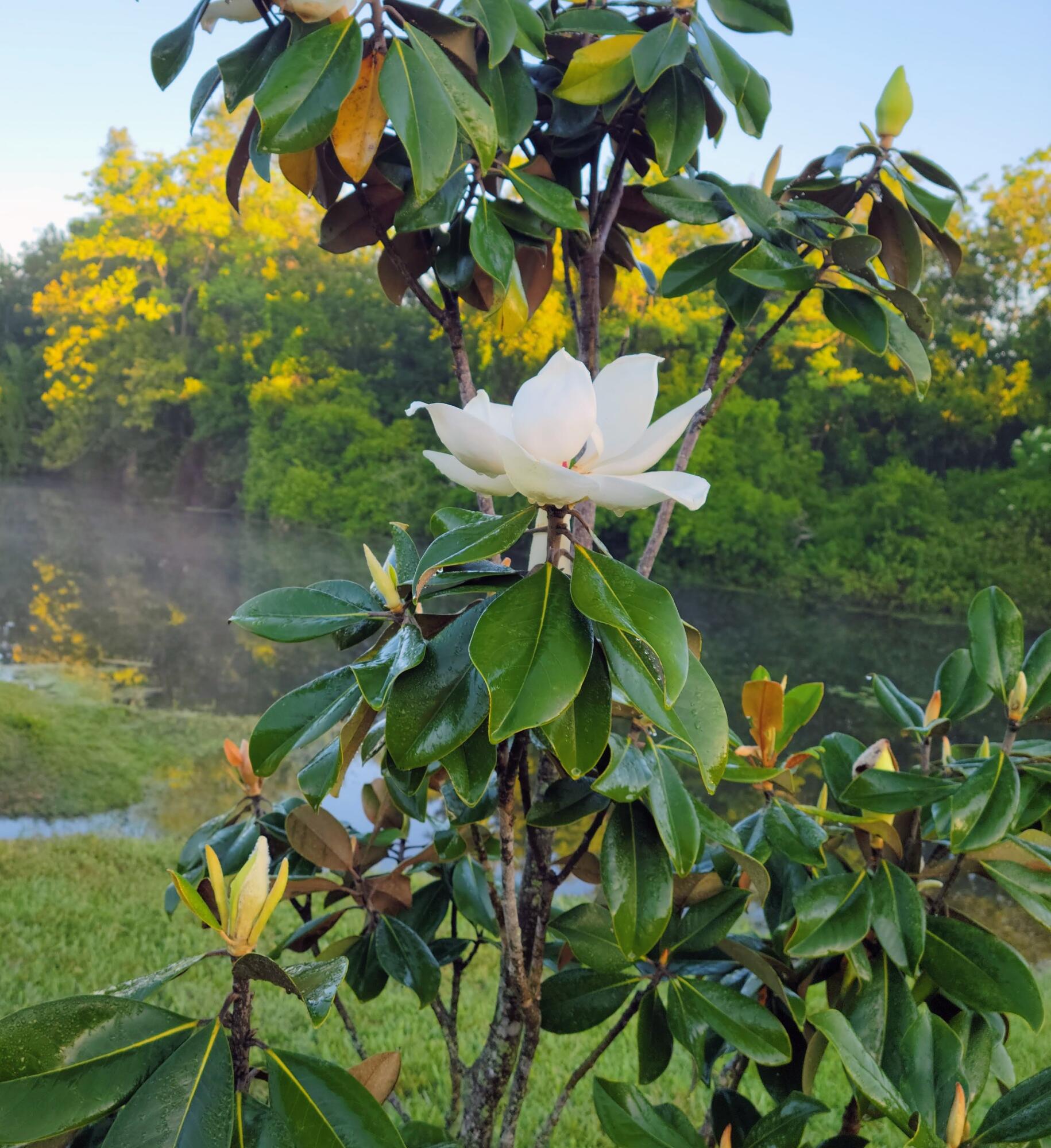 9 James Street Belfast, ME 04915 - Photo 54 of 59 13378
