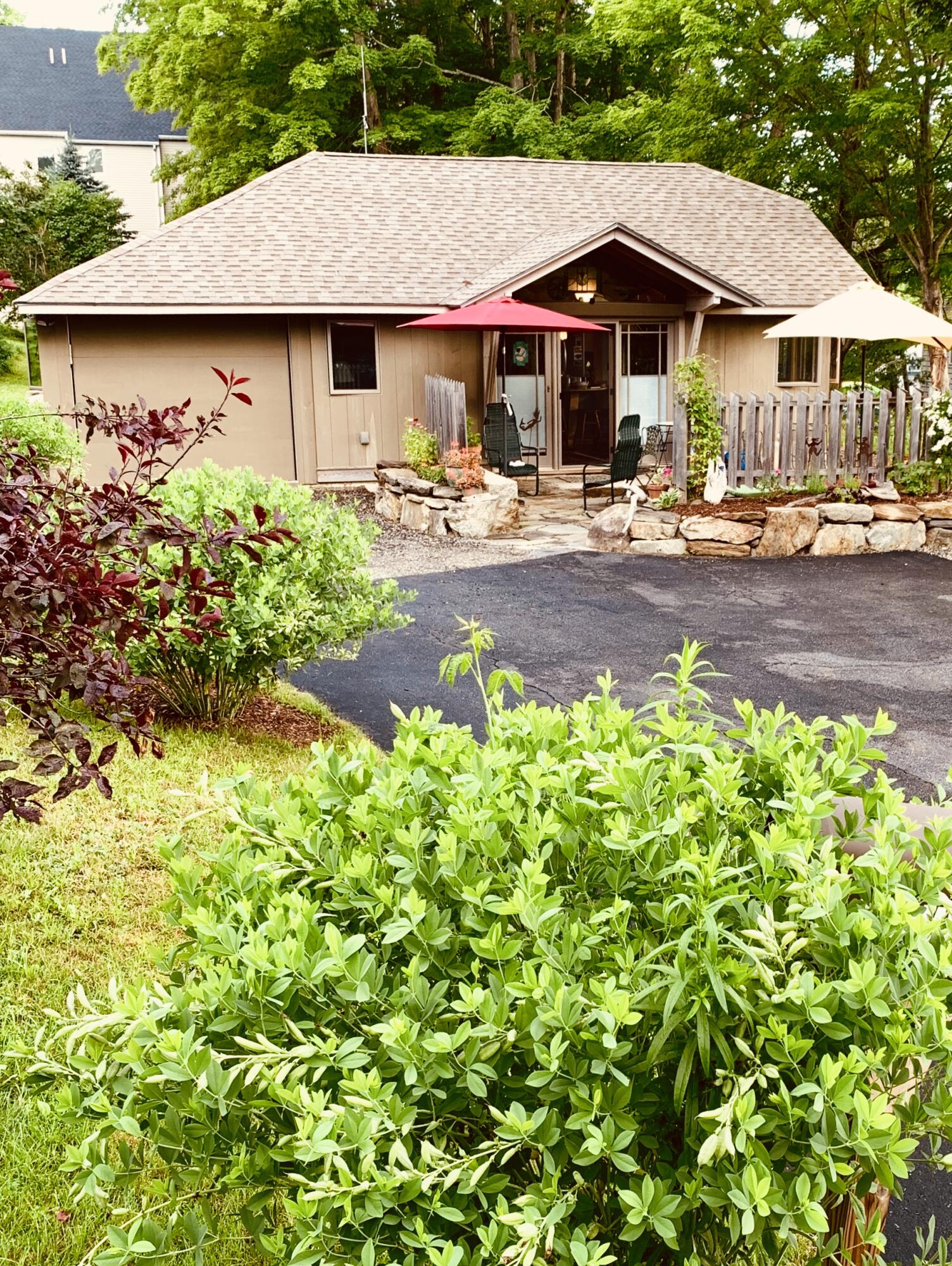 9 James Street Belfast, ME 04915 - Photo 56 of 59 View from Upper James Streer Summer