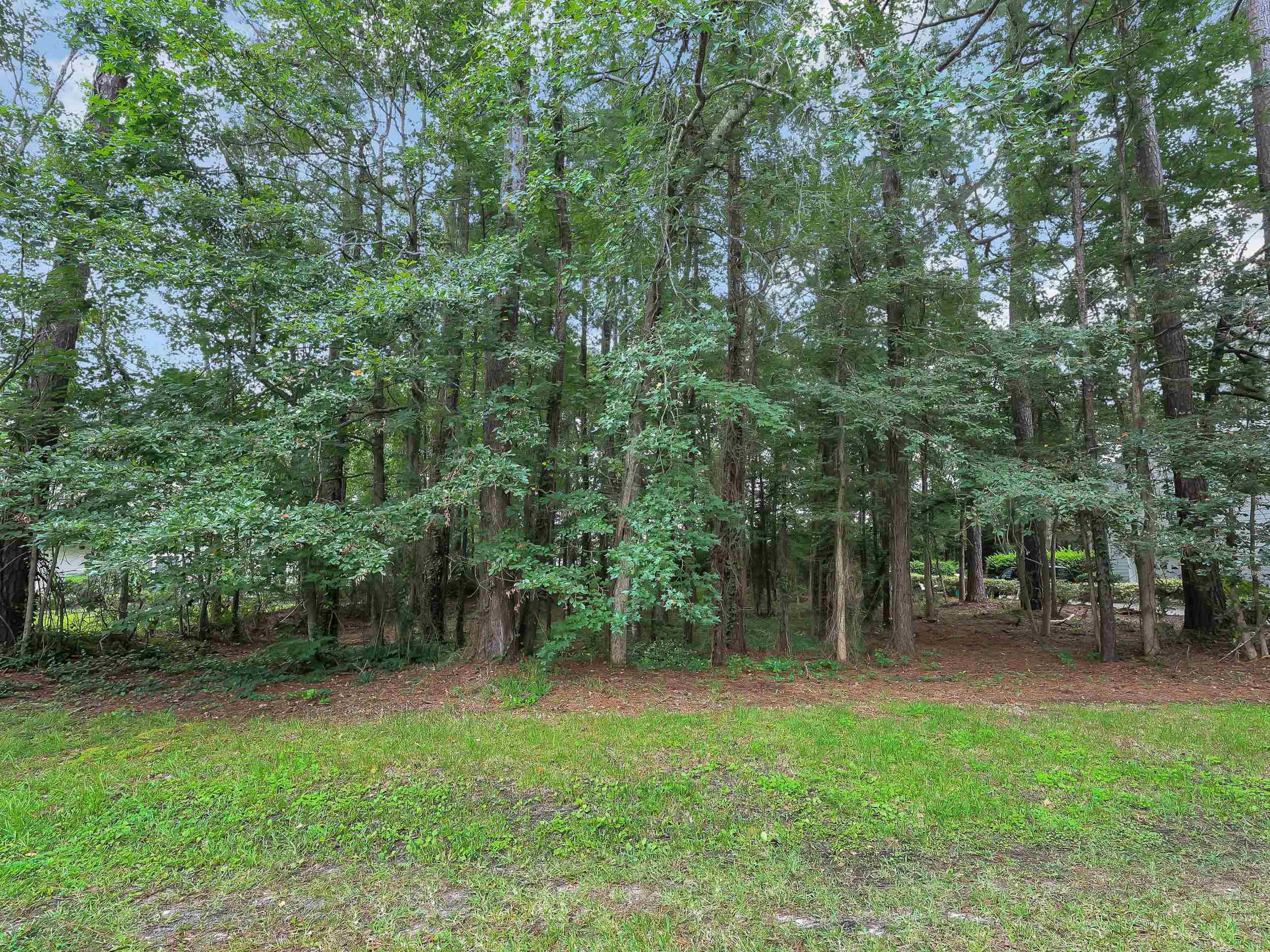 1286 Strathmill Court Surfside Beach, SC 29575 - Photo 8 of 12