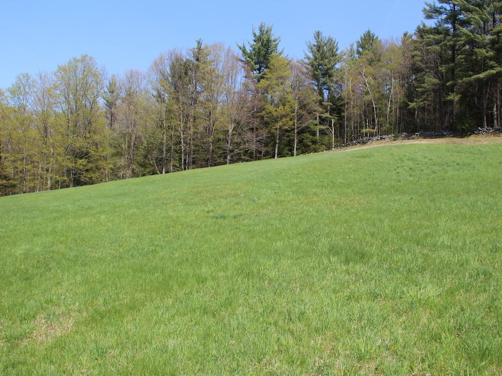 90 Donkin Hill Road New Hampton, NH 03256 - Photo 10 of 23 Gallery Image 10