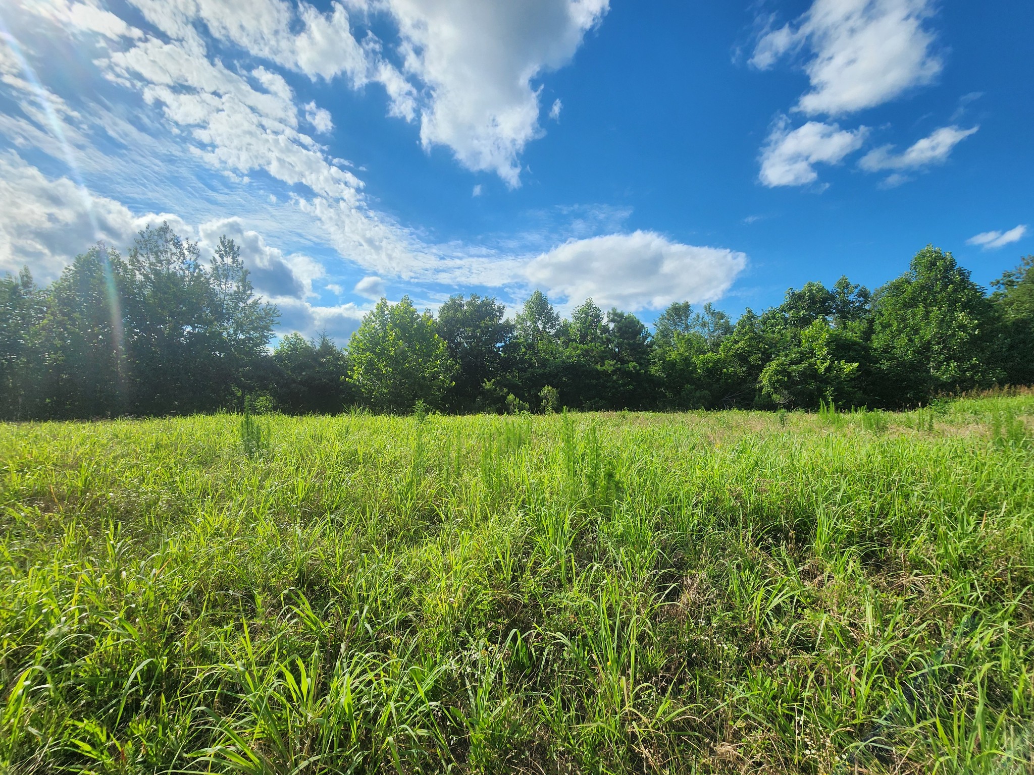 0 Sinking Creek Road Linden, TN 37096 - Photo 21 of 23