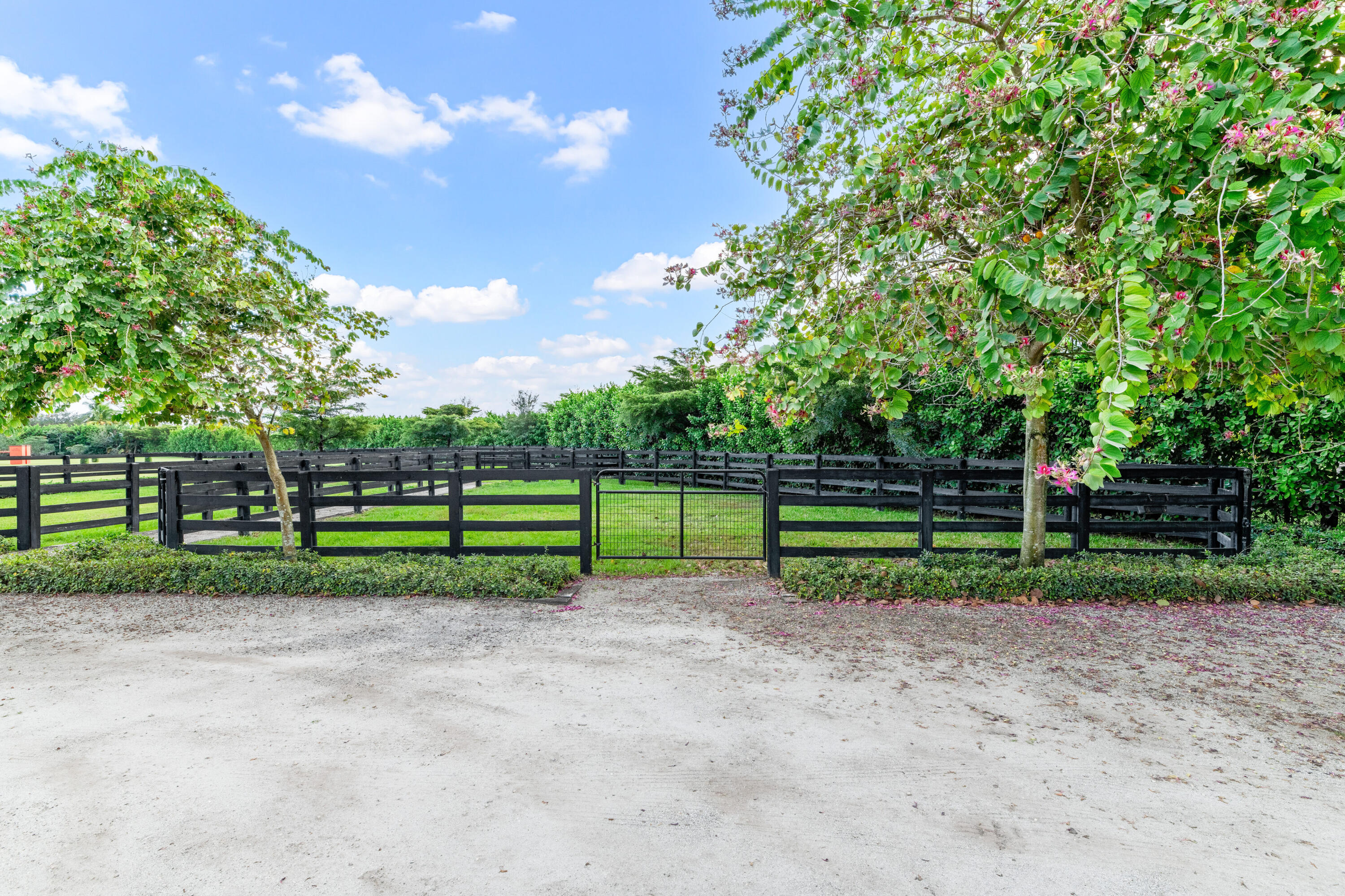 14739 Jumper Road Wellington, FL 33449 - Photo 108 of 124 14639 Jumper Rd Wellington FL-print-216-