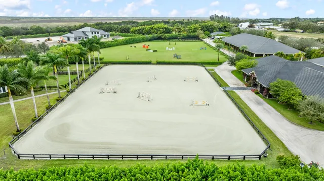 a view of a garden with palm trees