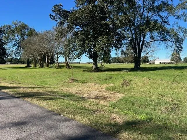 $103,000 | 0 North Bayou Rapides Road, Alexandria, LA 71303