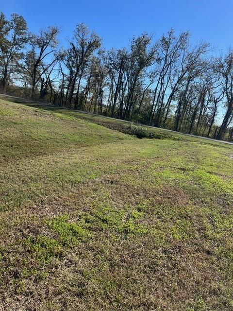 0 North Bayou Rapides Road Alexandria, LA 71303 - Photo 3 of 3