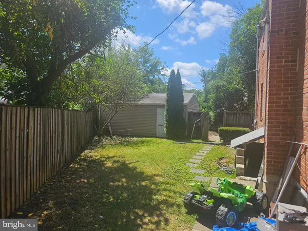 a view of a yard with plants and large trees