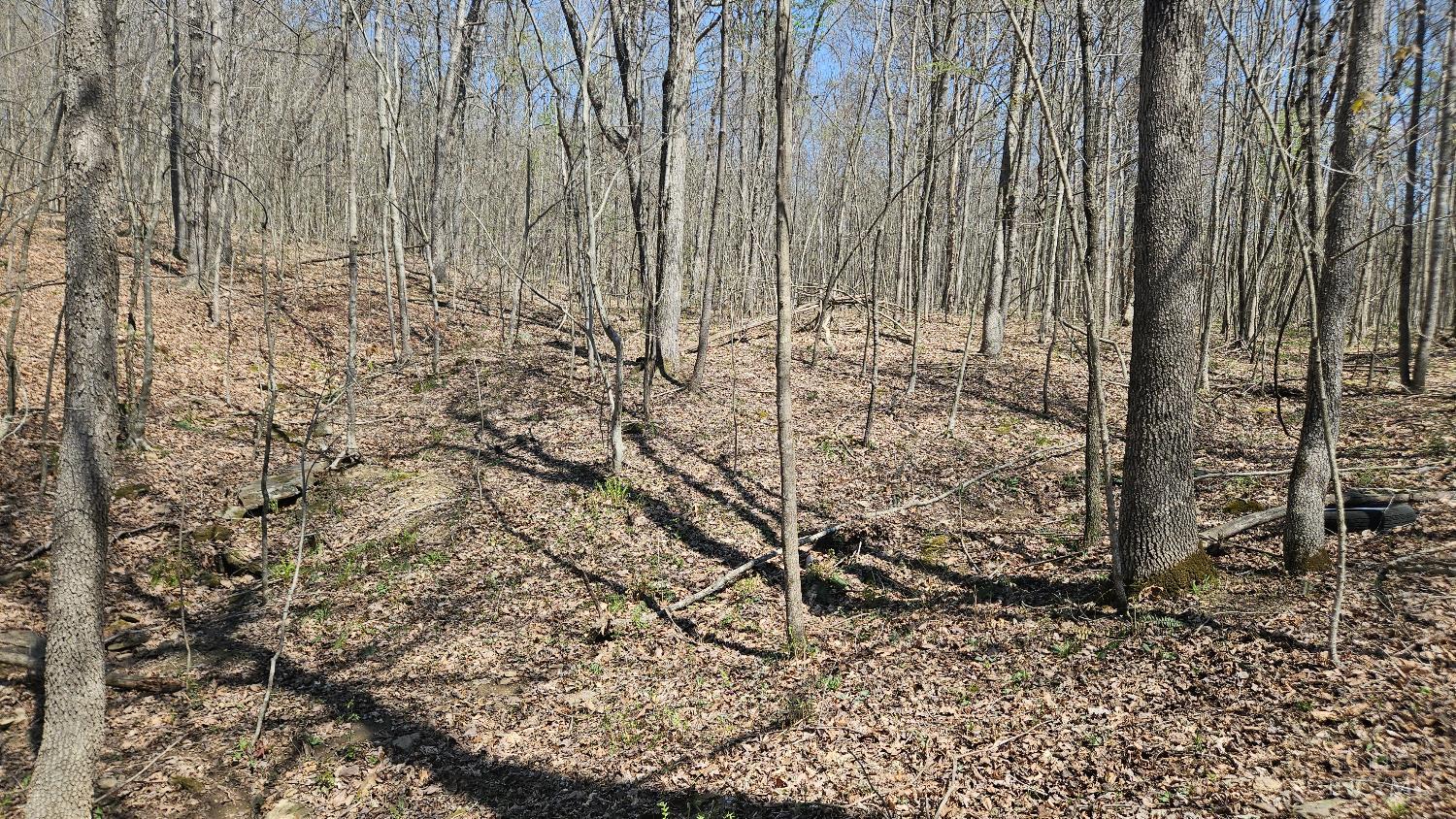 0 Spruce Hollow Road South Webster, OH 45682 - Photo 31 of 54