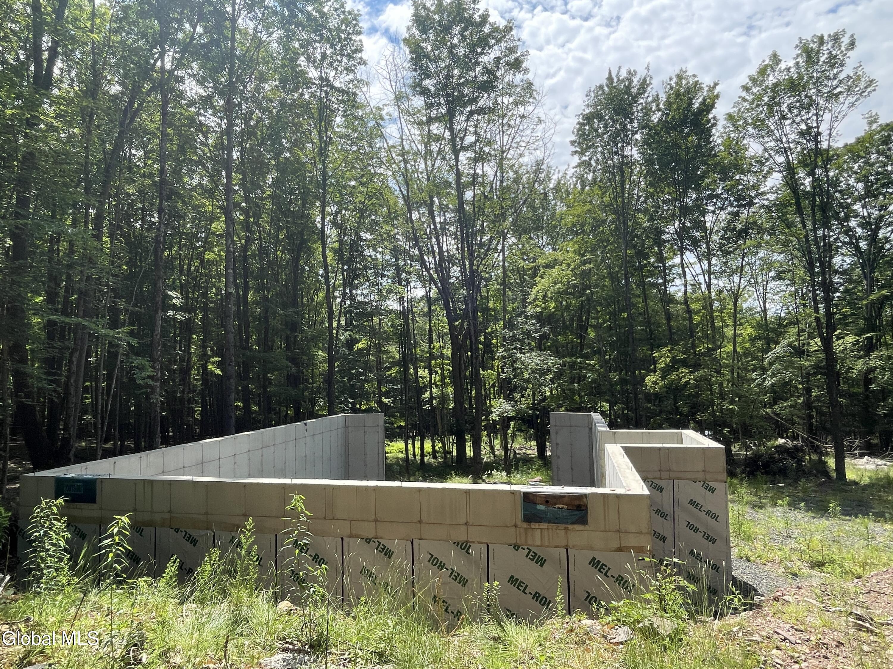 Tbd Boulder Brook Road, Unit LOTS 3338 Windham, NY 12496 - Photo 11 of 49 IMG_0588