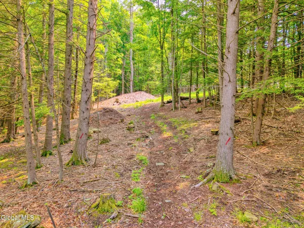 $569,900 | Tbd Boulder Brook Road, Unit LOTS 3338, Windham, NY 12496