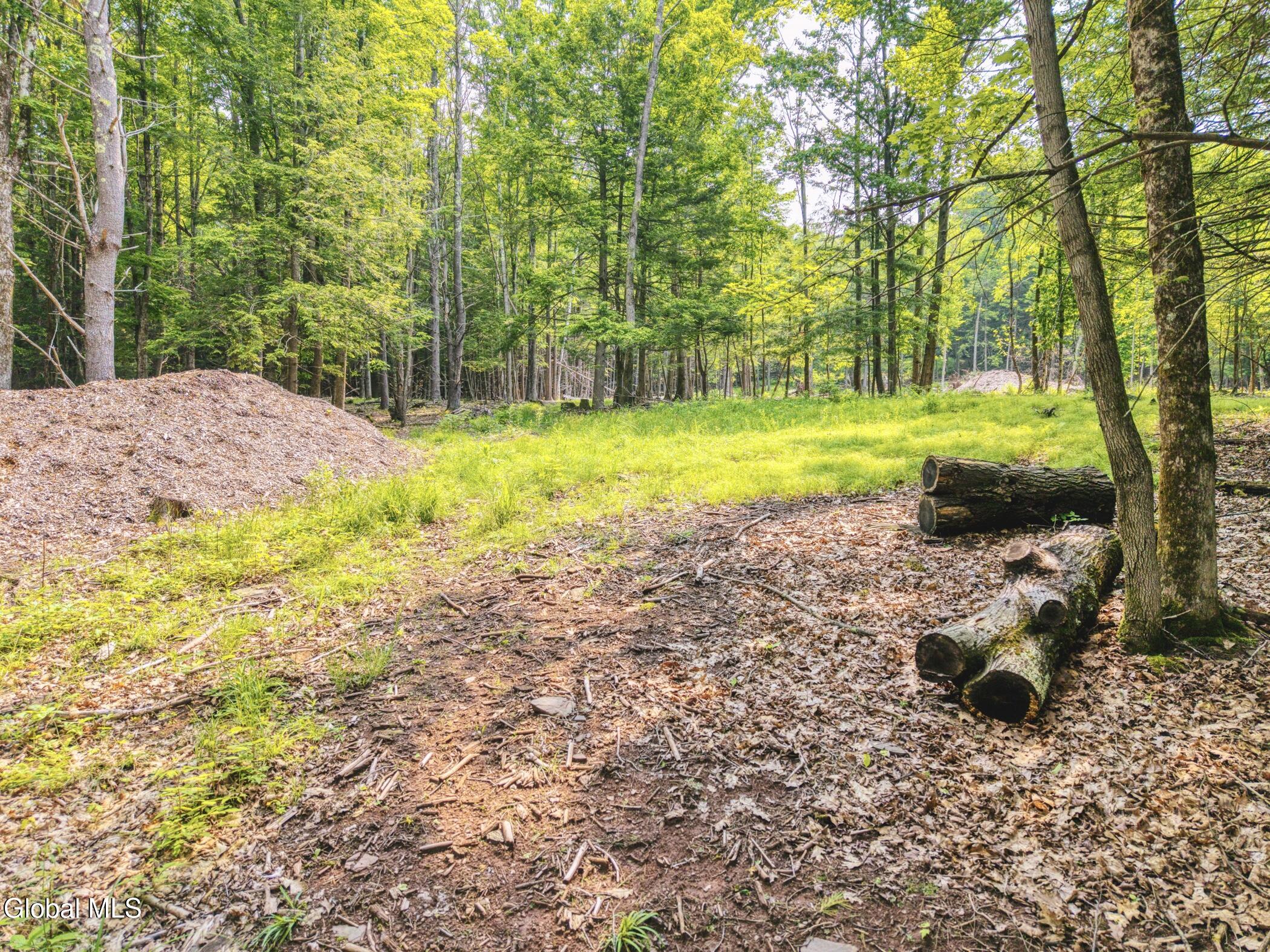 Tbd Boulder Brook Road, Unit LOTS 3338 Windham, NY 12496 - Photo 15 of 49 Image-25