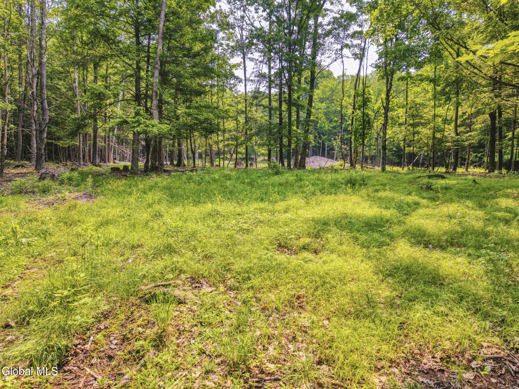 Tbd Boulder Brook Road, Unit LOTS 3338 Windham, NY 12496 - Photo 16 of 49 Image-26