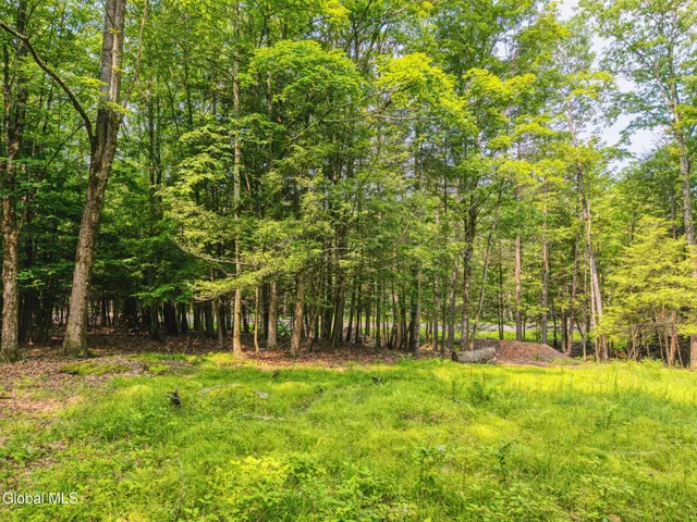 $899,900 | Tbd Boulder Brook Road, Unit LOTS 3338, Windham, NY 12496