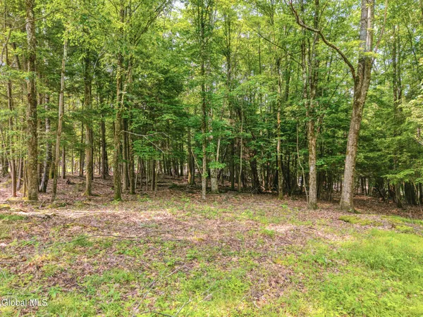 $569,900 | Tbd Boulder Brook Road, Unit LOTS 3338, Windham, NY 12496
