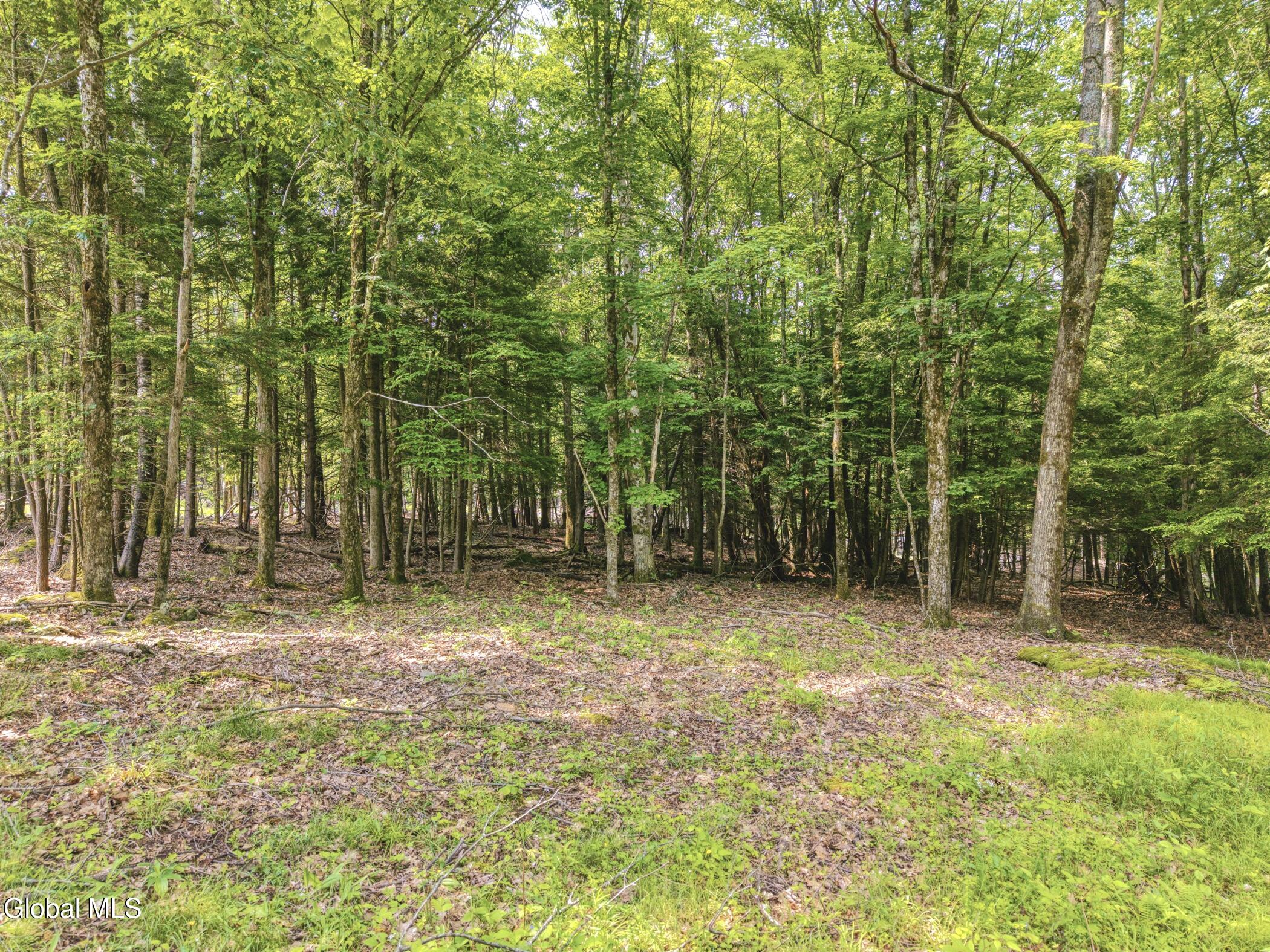 Tbd Boulder Brook Road, Unit LOTS 3338 Windham, NY 12496 - Photo 18 of 49 Image-28