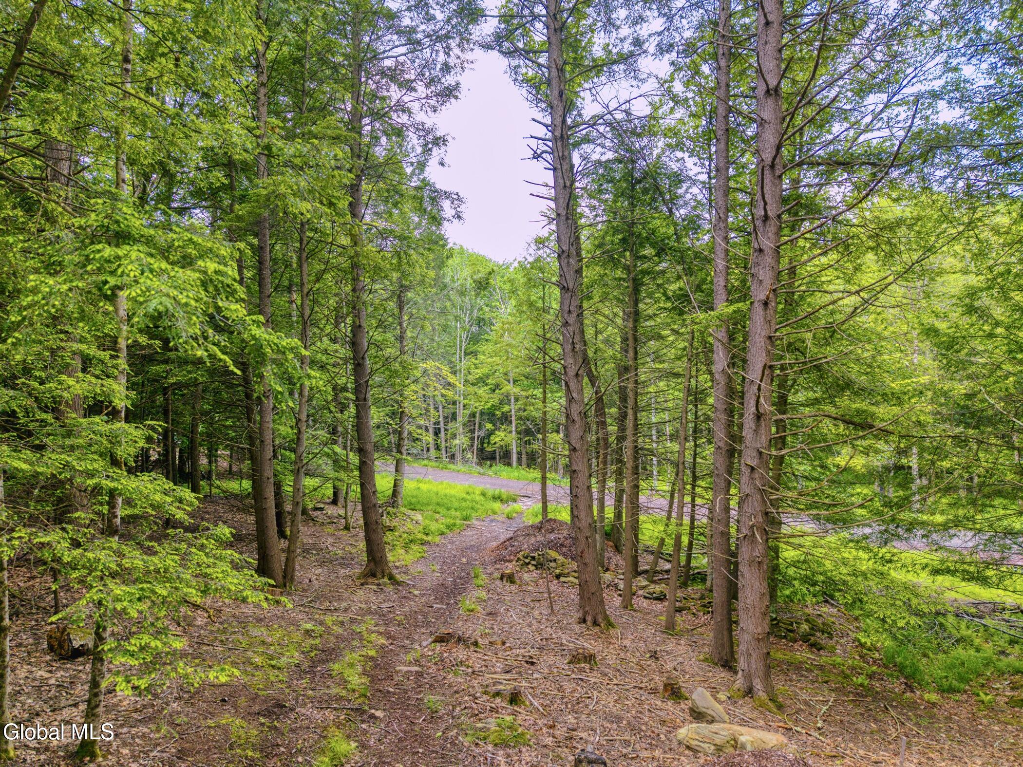 Tbd Boulder Brook Road, Unit LOTS 3338 Windham, NY 12496 - Photo 19 of 49 Image-29