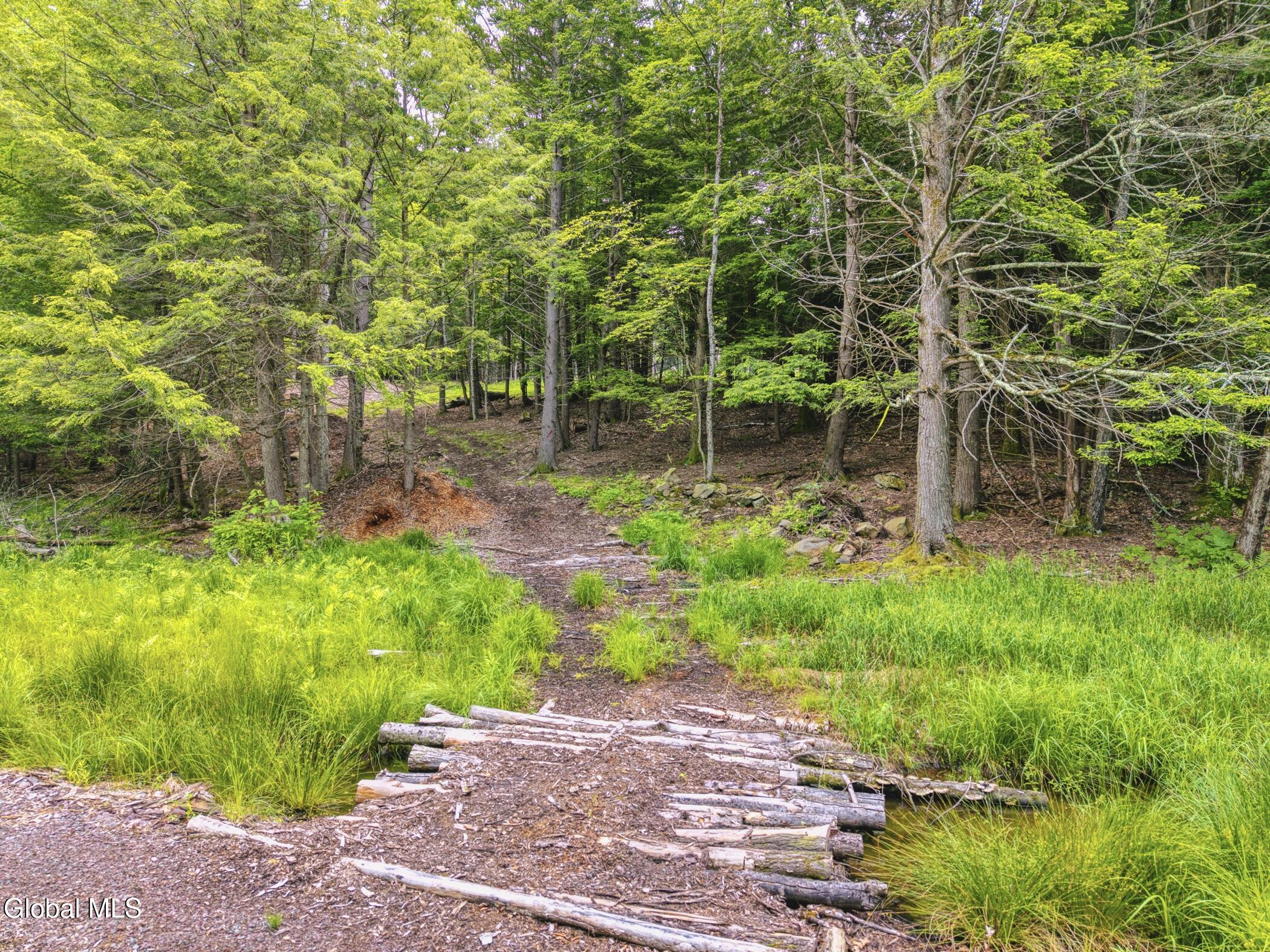 Tbd Boulder Brook Road, Unit LOTS 3338 Windham, NY 12496 - Photo 20 of 49 Image-30