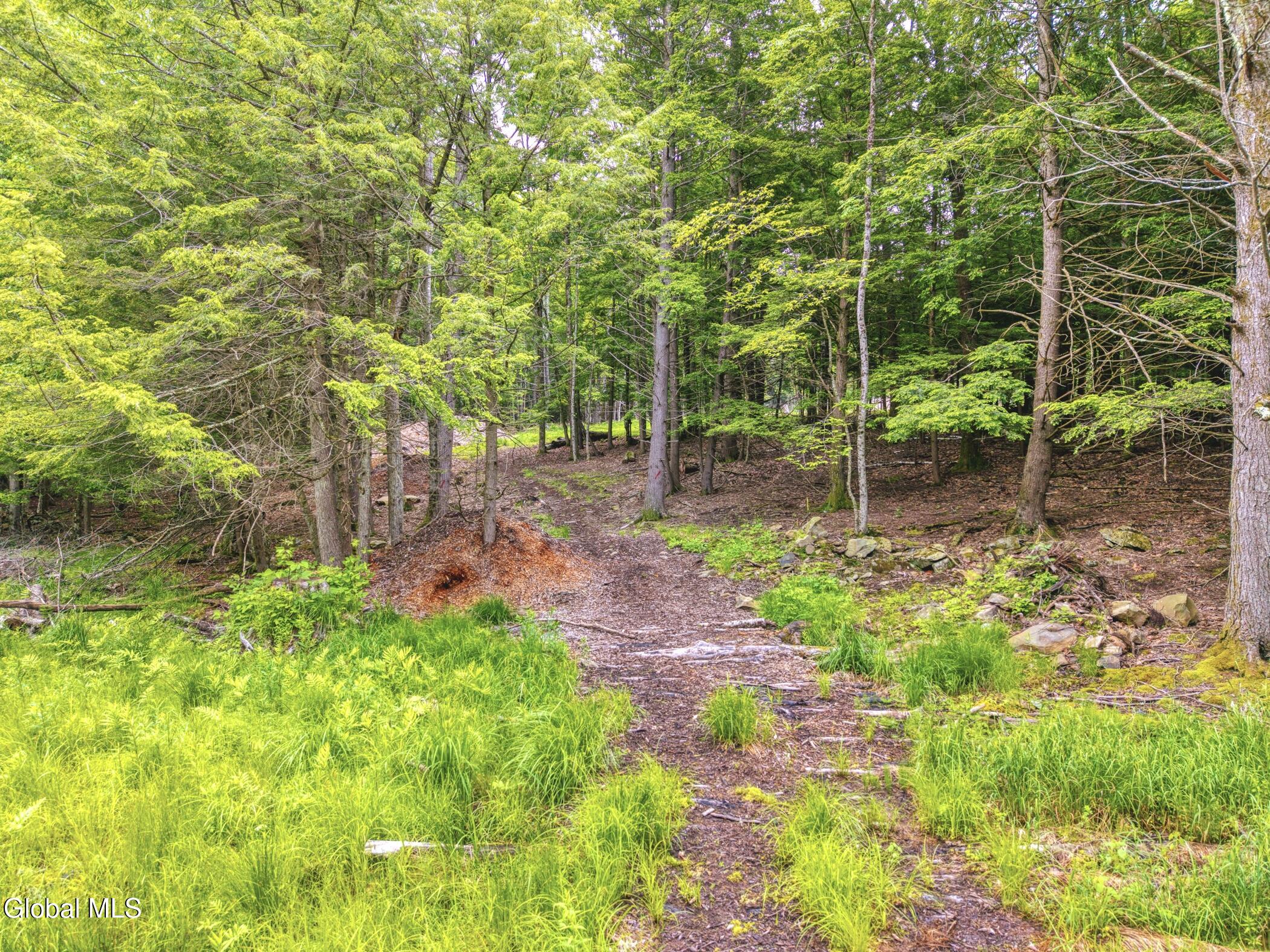 Tbd Boulder Brook Road, Unit LOTS 3338 Windham, NY 12496 - Photo 21 of 49 Image-31