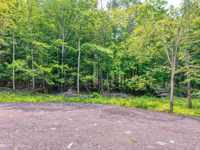 $899,900 | Tbd Boulder Brook Road, Unit LOTS 3338, Windham, NY 12496