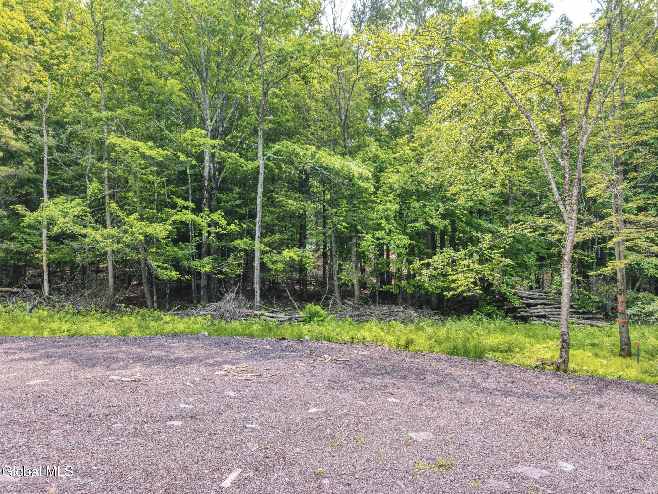 Tbd Boulder Brook Road, Unit LOTS 3338 Windham, NY 12496 - Photo 22 of 49 Image-39