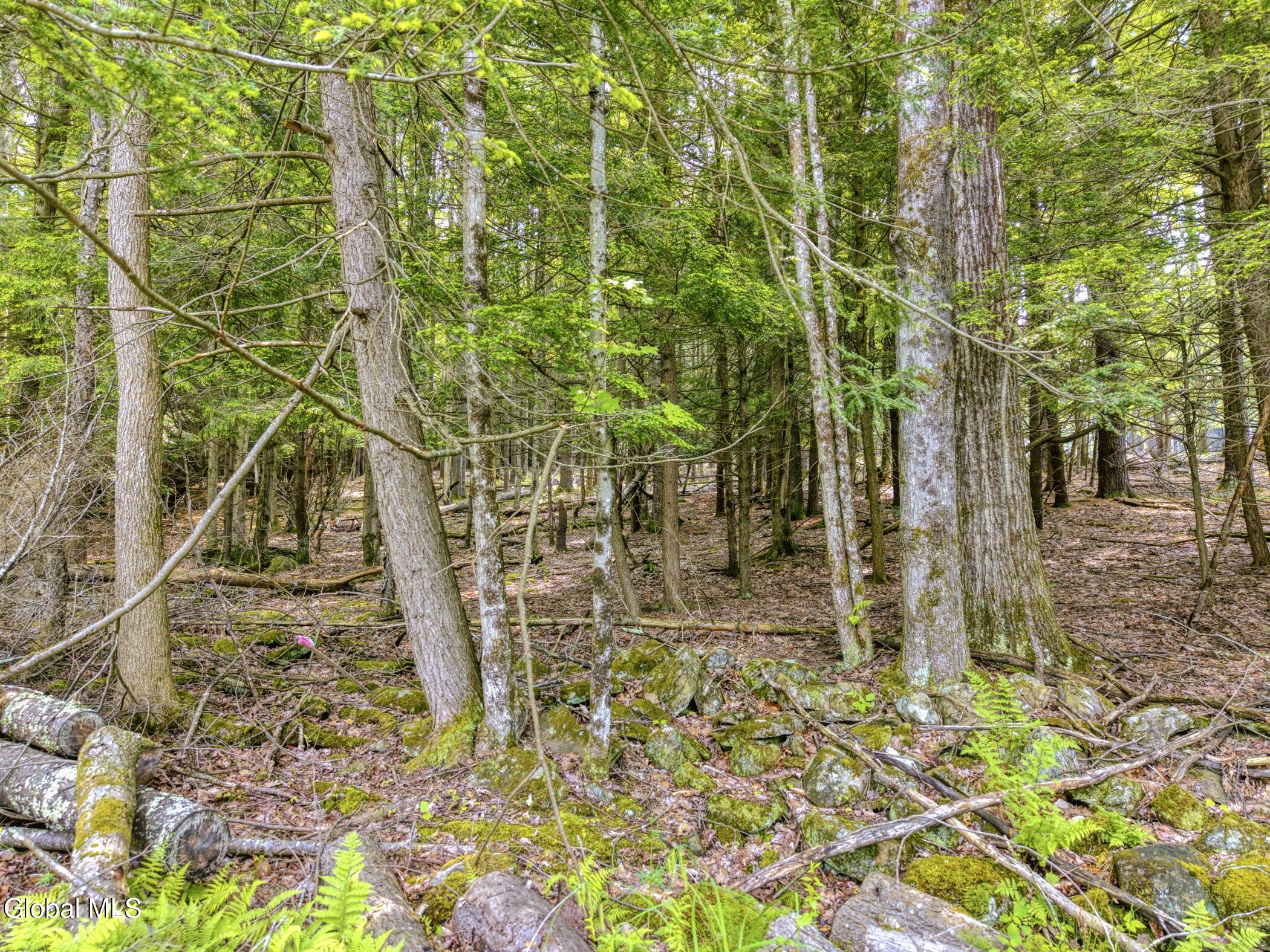 Tbd Boulder Brook Road, Unit LOTS 3338 Windham, NY 12496 - Photo 24 of 49 Image-42
