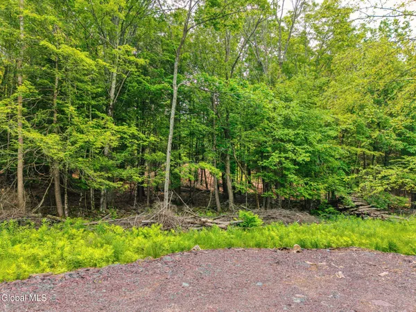 $569,900 | Tbd Boulder Brook Road, Unit LOTS 3338, Windham, NY 12496