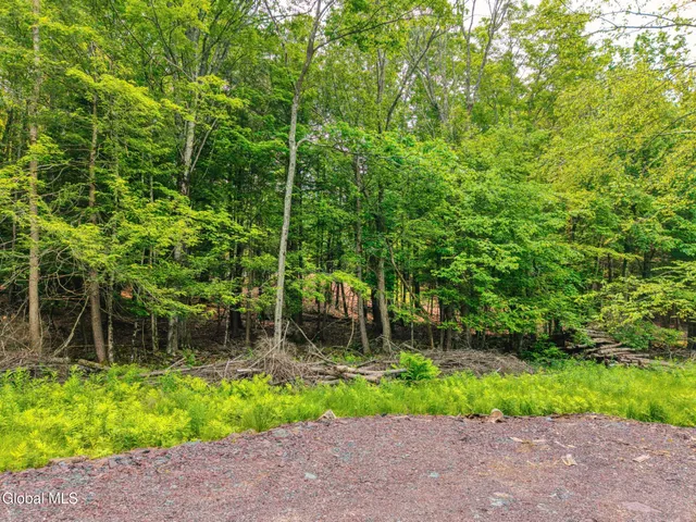 $899,900 | Tbd Boulder Brook Road, Unit LOTS 3338, Windham, NY 12496