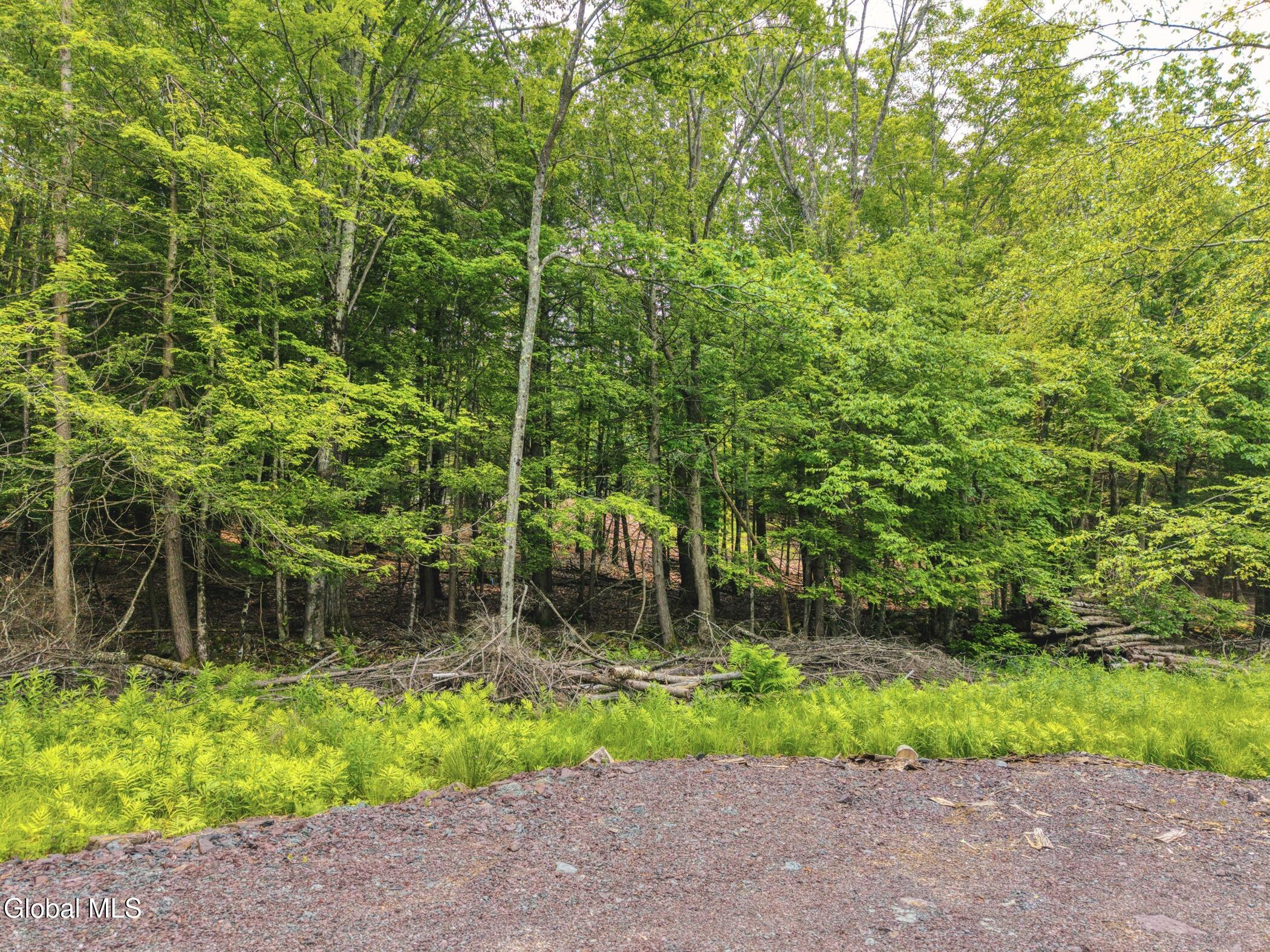 Tbd Boulder Brook Road, Unit LOTS 3338 Windham, NY 12496 - Photo 25 of 49 Image-43