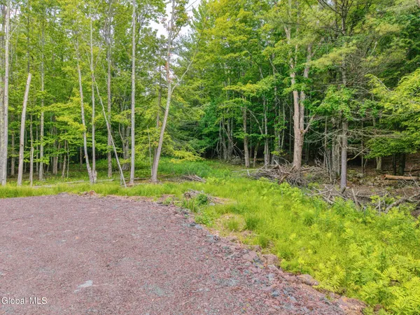 $569,900 | Tbd Boulder Brook Road, Unit LOTS 3338, Windham, NY 12496