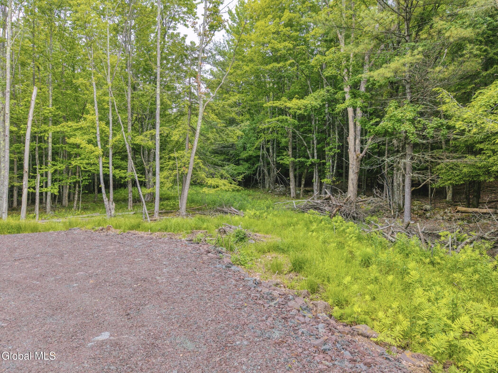 Tbd Boulder Brook Road, Unit LOTS 3338 Windham, NY 12496 - Photo 29 of 49 Image-51
