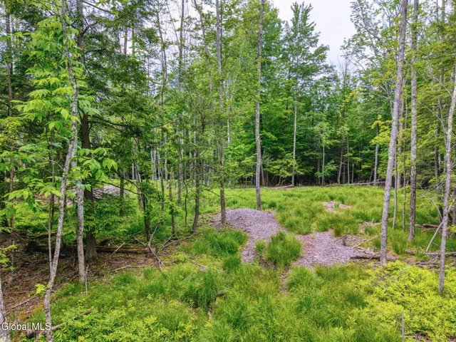 $899,900 | Tbd Boulder Brook Road, Unit LOTS 3338, Windham, NY 12496