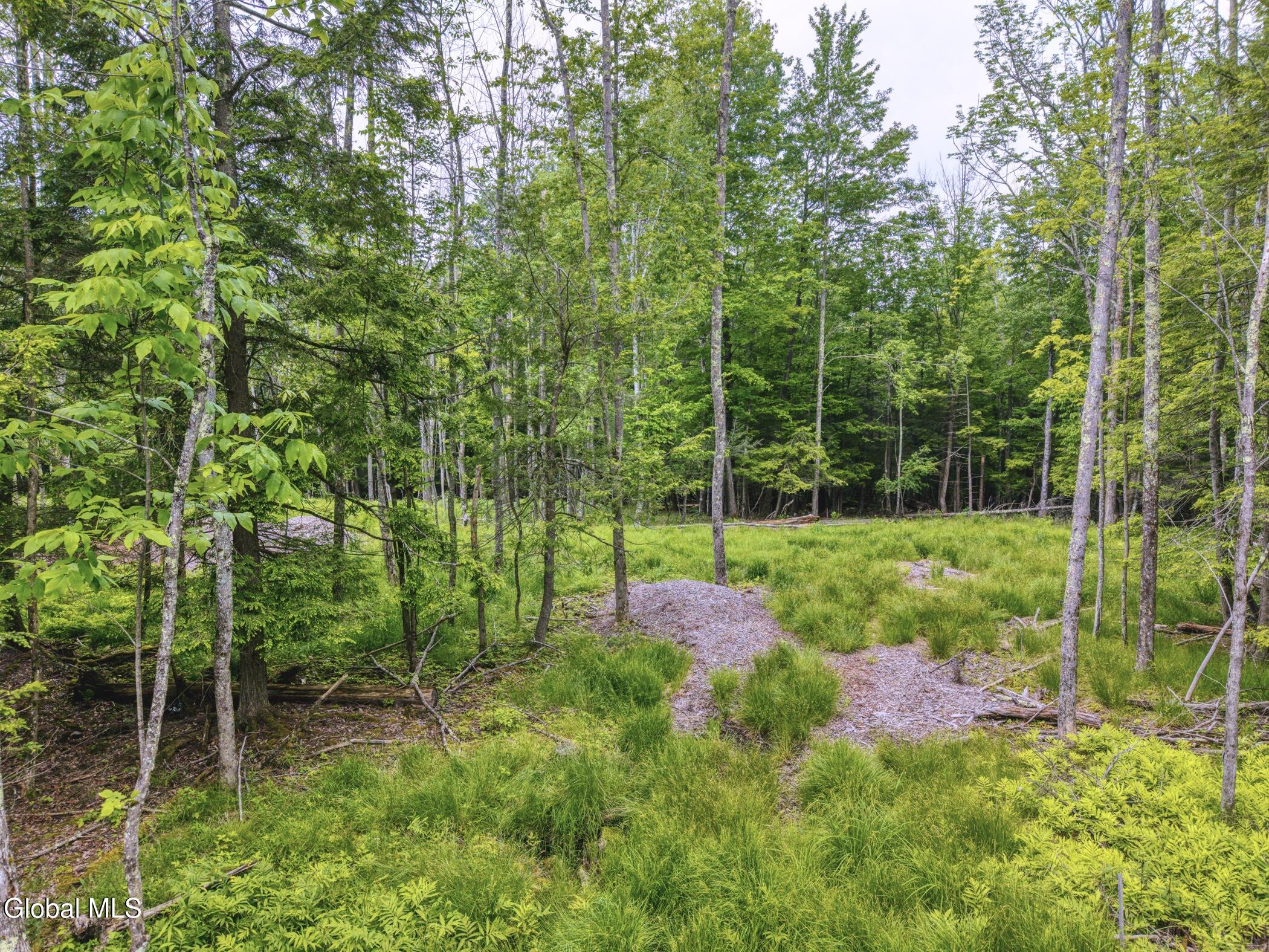 Tbd Boulder Brook Road, Unit LOTS 3338 Windham, NY 12496 - Photo 32 of 49 Image-70