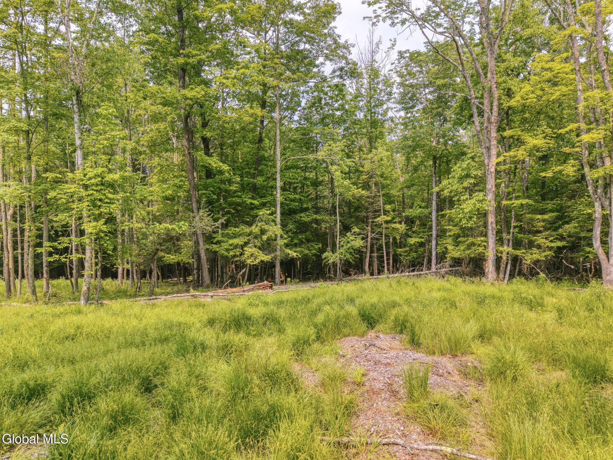Tbd Boulder Brook Road, Unit LOTS 3338 Windham, NY 12496 - Photo 33 of 49 Image-71