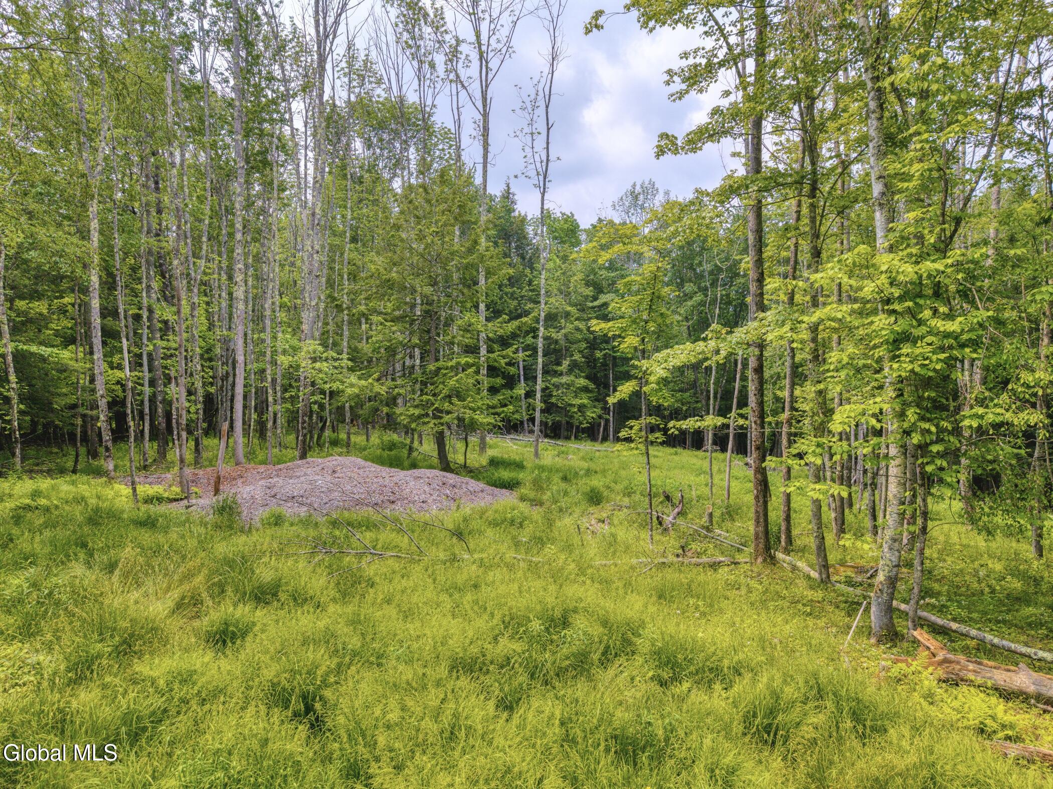 Tbd Boulder Brook Road, Unit LOTS 3338 Windham, NY 12496 - Photo 34 of 49 Image-72