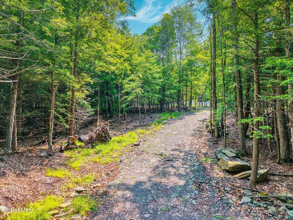 $569,900 | Tbd Boulder Brook Road, Unit LOTS 3338, Windham, NY 12496