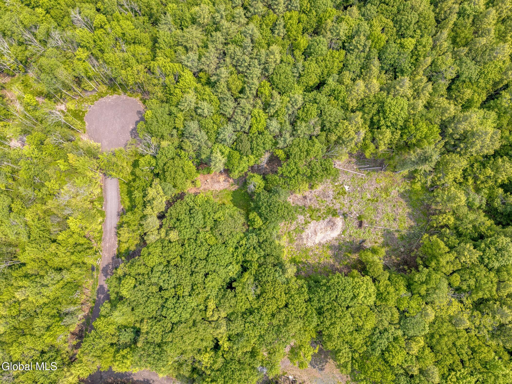Tbd Boulder Brook Road, Unit LOTS 3338 Windham, NY 12496 - Photo 47 of 49 Image-32