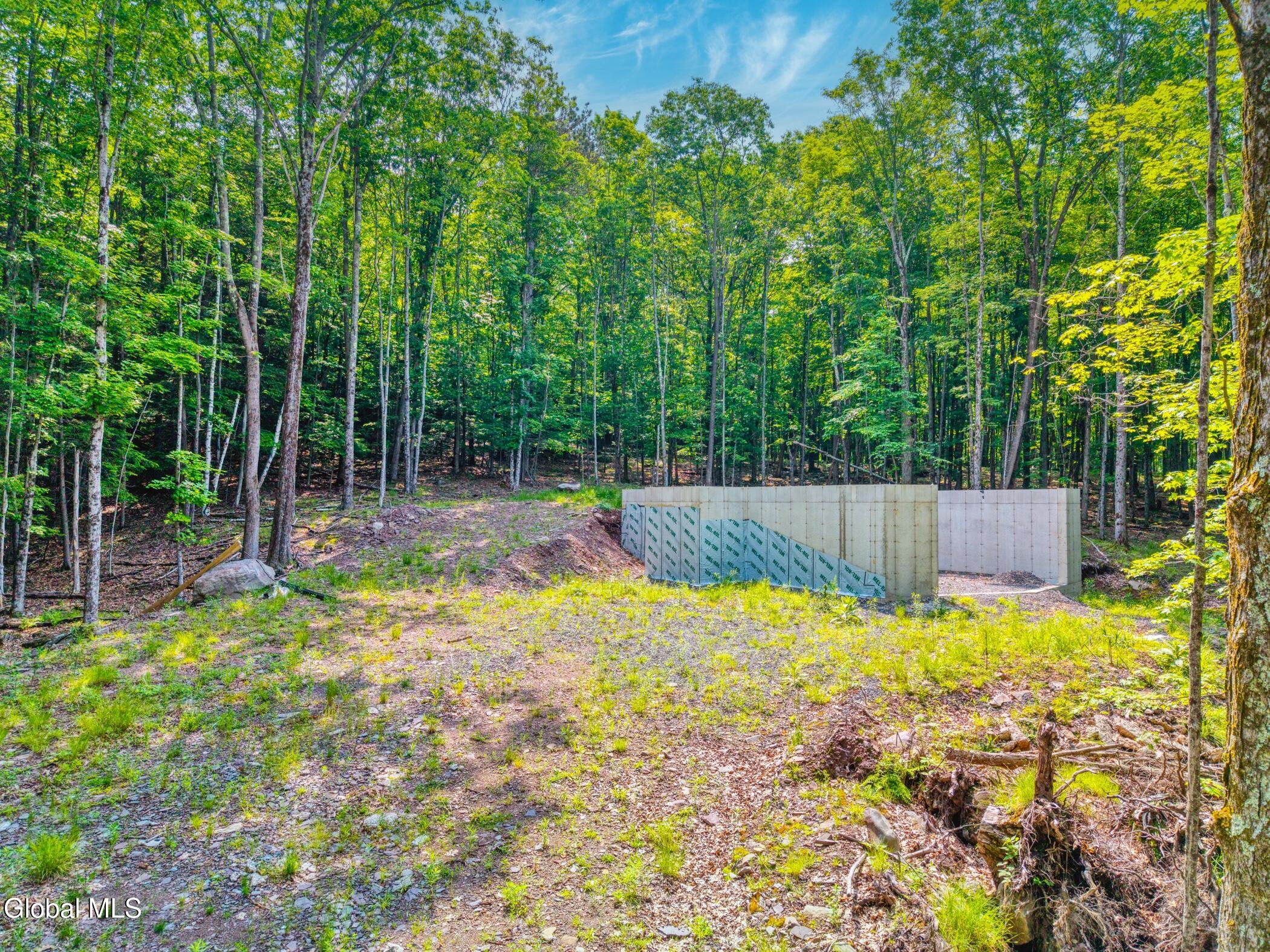 Tbd Boulder Brook Road, Unit LOTS 3338 Windham, NY 12496 - Photo 7 of 49 Image-6