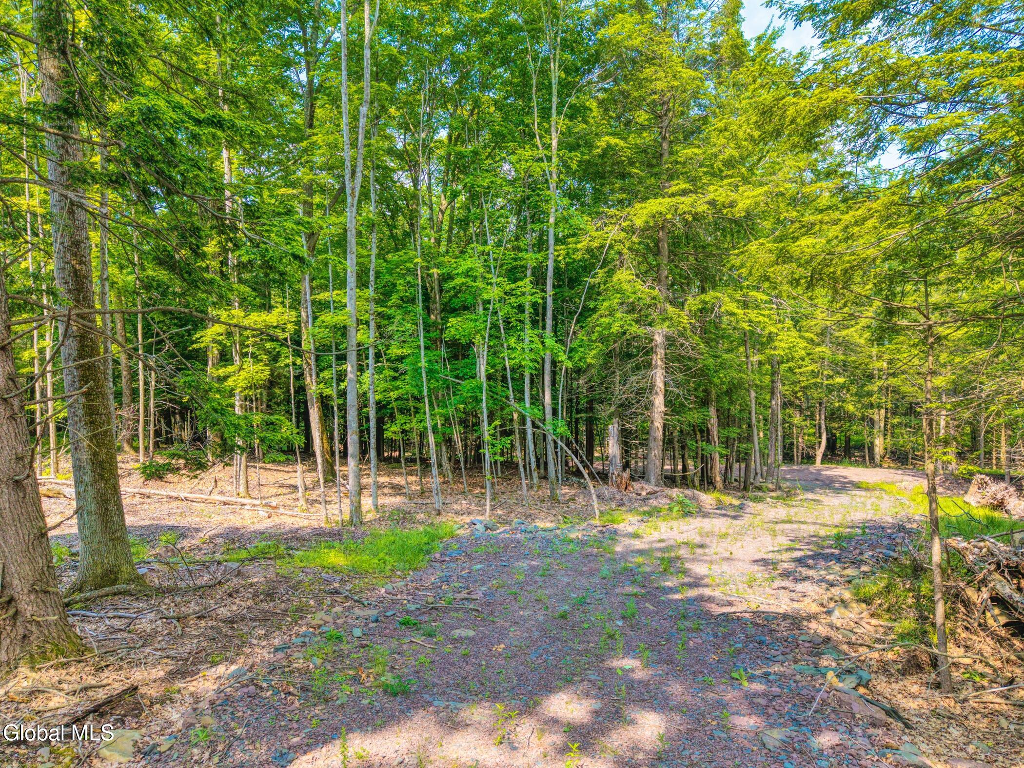 Tbd Boulder Brook Road, Unit LOTS 3338 Windham, NY 12496 - Photo 8 of 49 Image-7