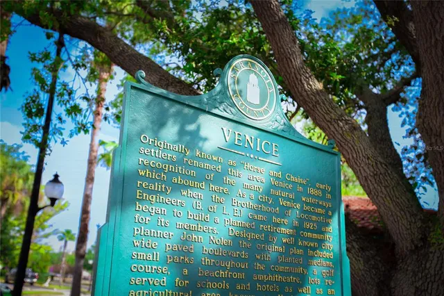 a palm tree sitting in front of a house with a big yard