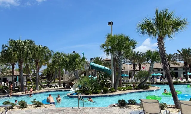 a view of a yard with palm trees