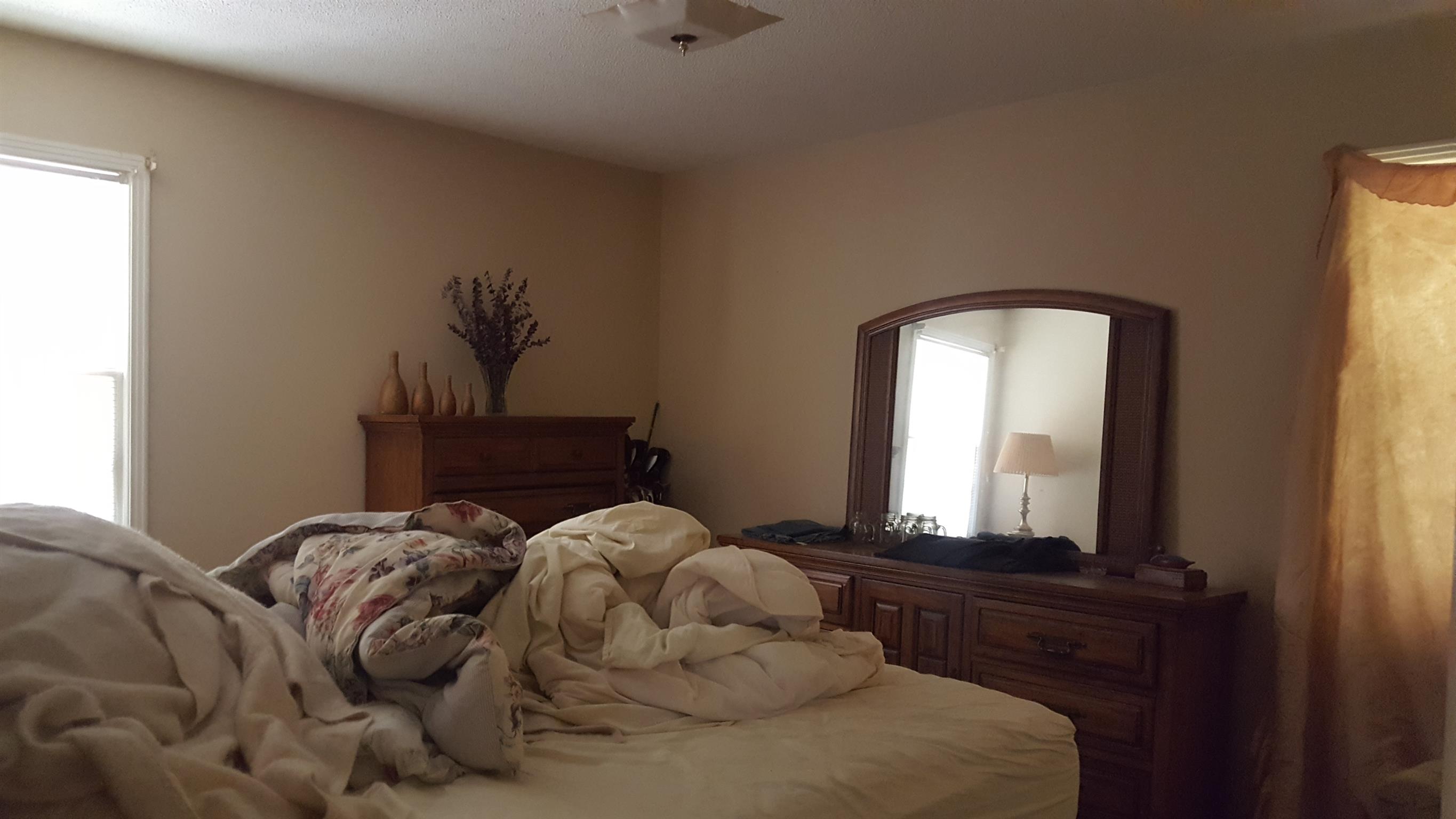 2760 Old Laguardo Road East Lebanon, TN 37087 - Photo 21 of 30 a bedroom with a bed and a mirror with window