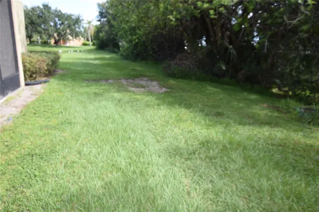 a view of a grassy field with trees