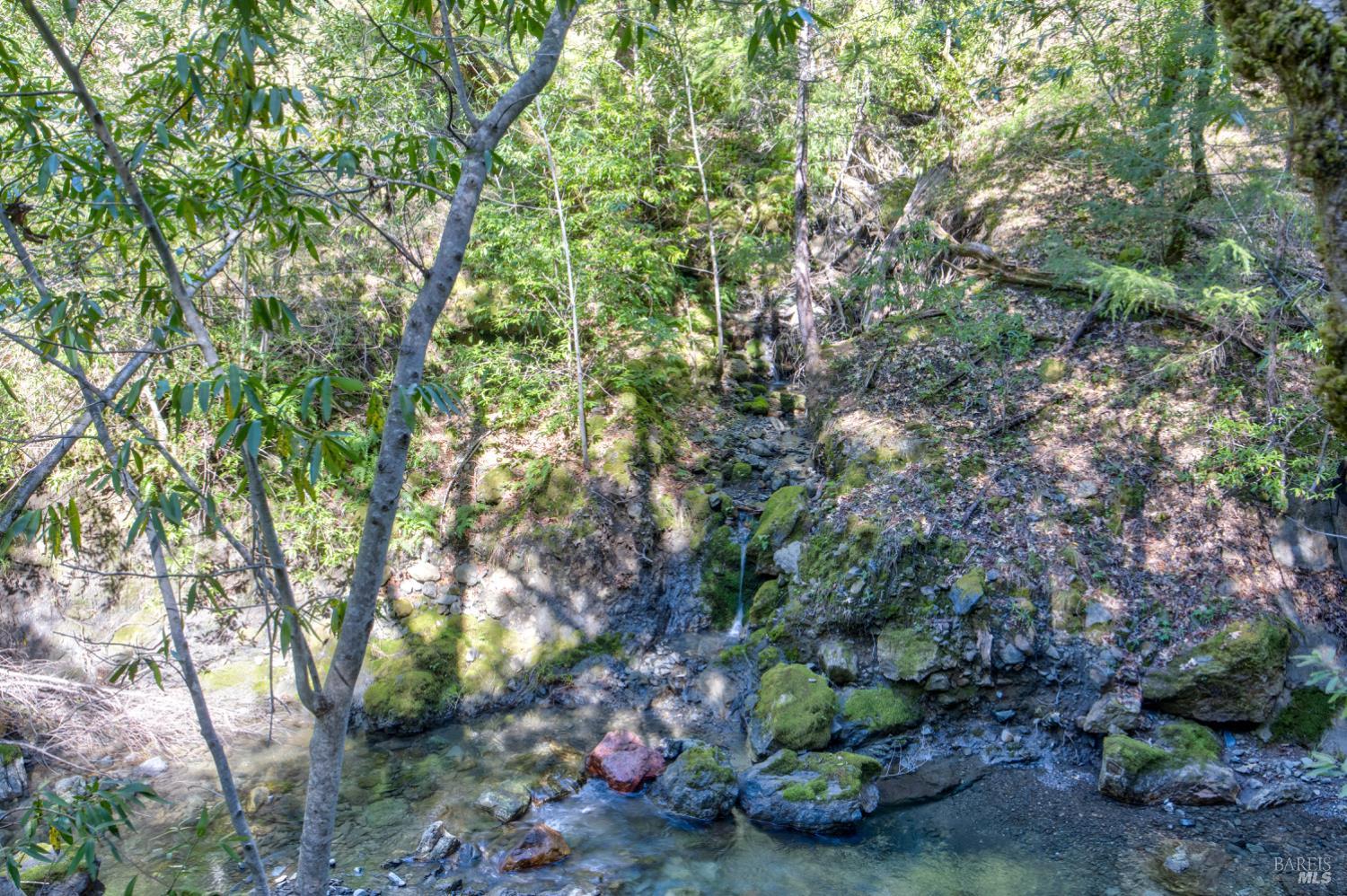 24301 King Ridge Road Cazadero, CA 95421 - Photo 67 of 88 Gallery Image 67